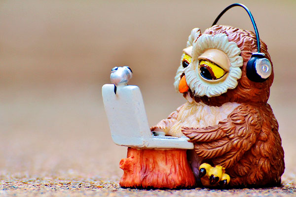 Служба поддержки